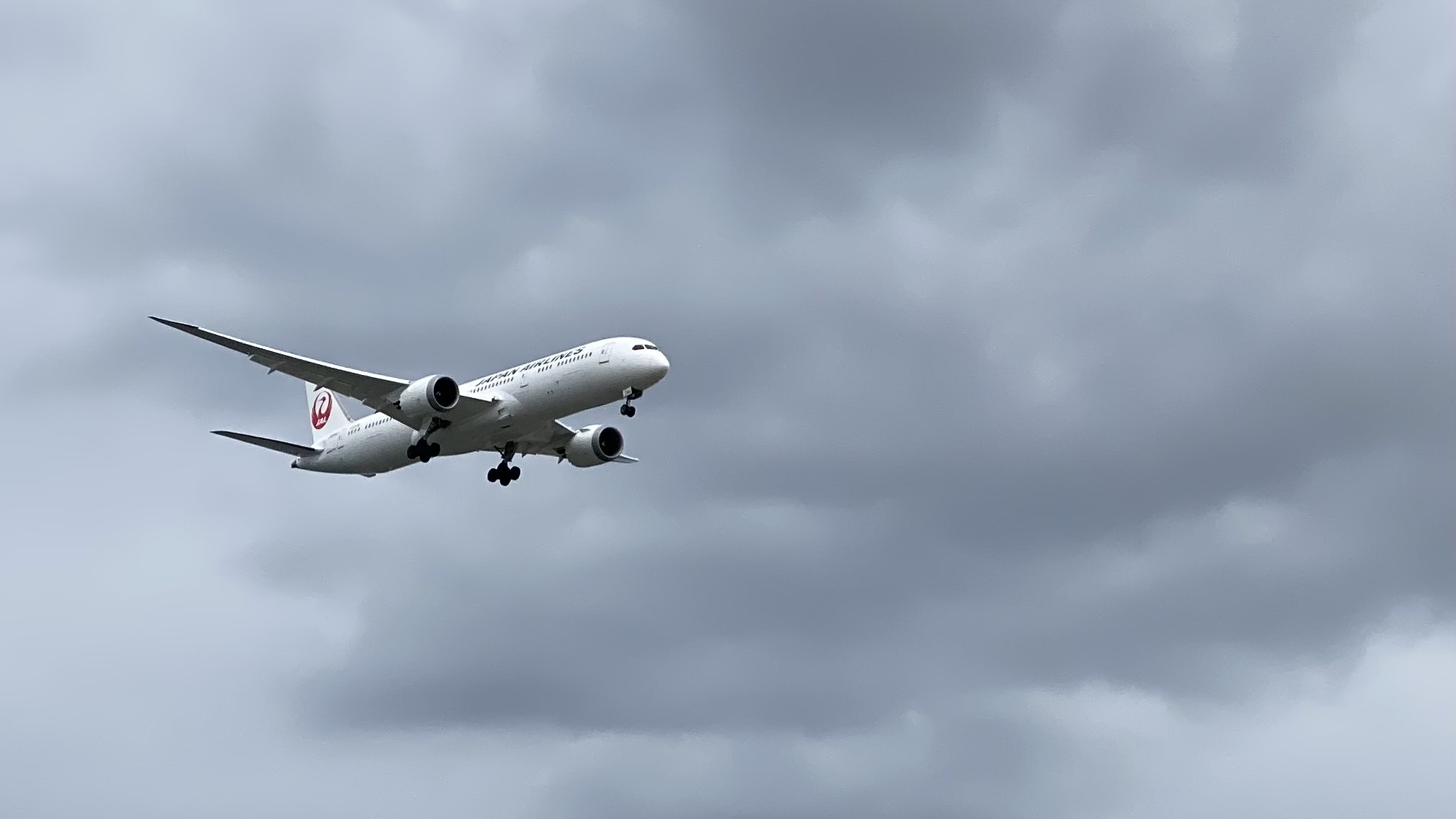 How I Set Up a FlightRadar24 Tracker at Home (and Why You Might Want To)