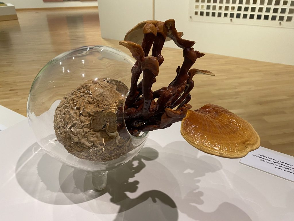 A sculptural glass vessel with organic growth emerging from within—curled, textured forms extend outward, blending natural and crafted elements on a museum pedestal.