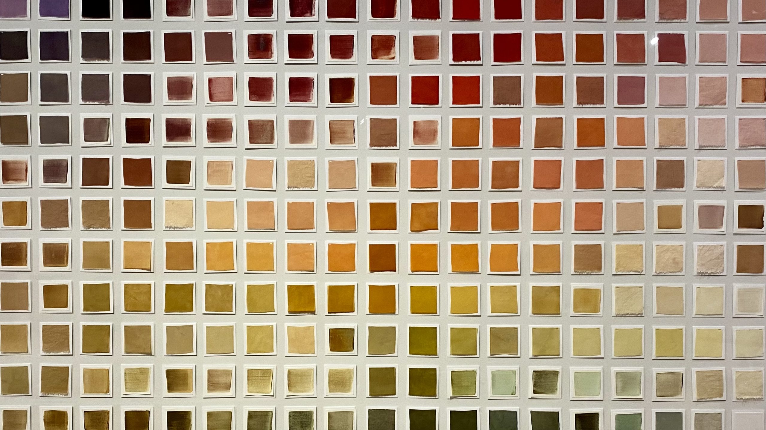 A large grid of hand-dyed fabric swatches arranged by hue, ranging from deep reds and purples through oranges, yellows, and greens, showcasing the natural color variations derived from mushrooms